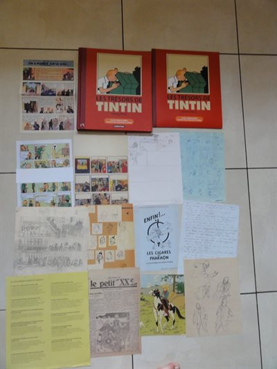 Les trésors de Tintin + Map met 22 items uit het archief van Hergé - hc - Eerste druk - 2013 - Franstalig