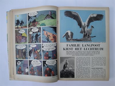 thumb 8