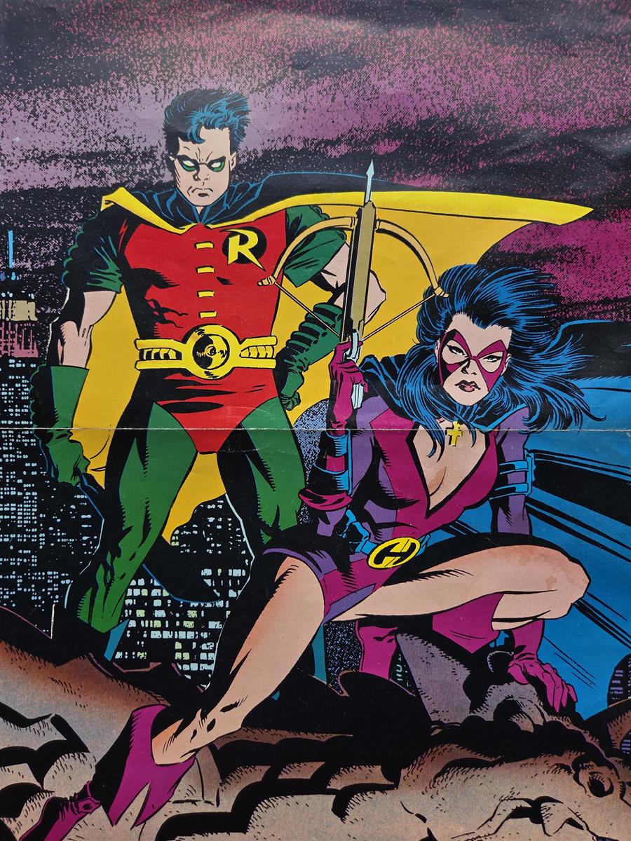 Robin-poster