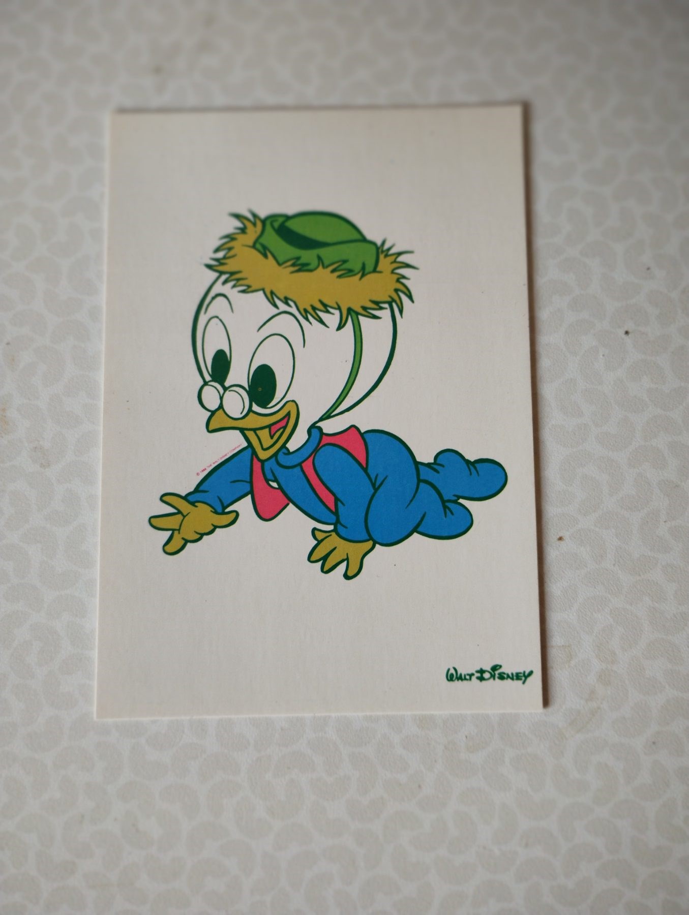 Walt Disney - De jeugdjaren